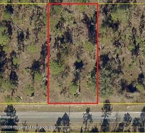 0.46 Acres of Residential Land for Sale in Weeki Wachee, Florida
