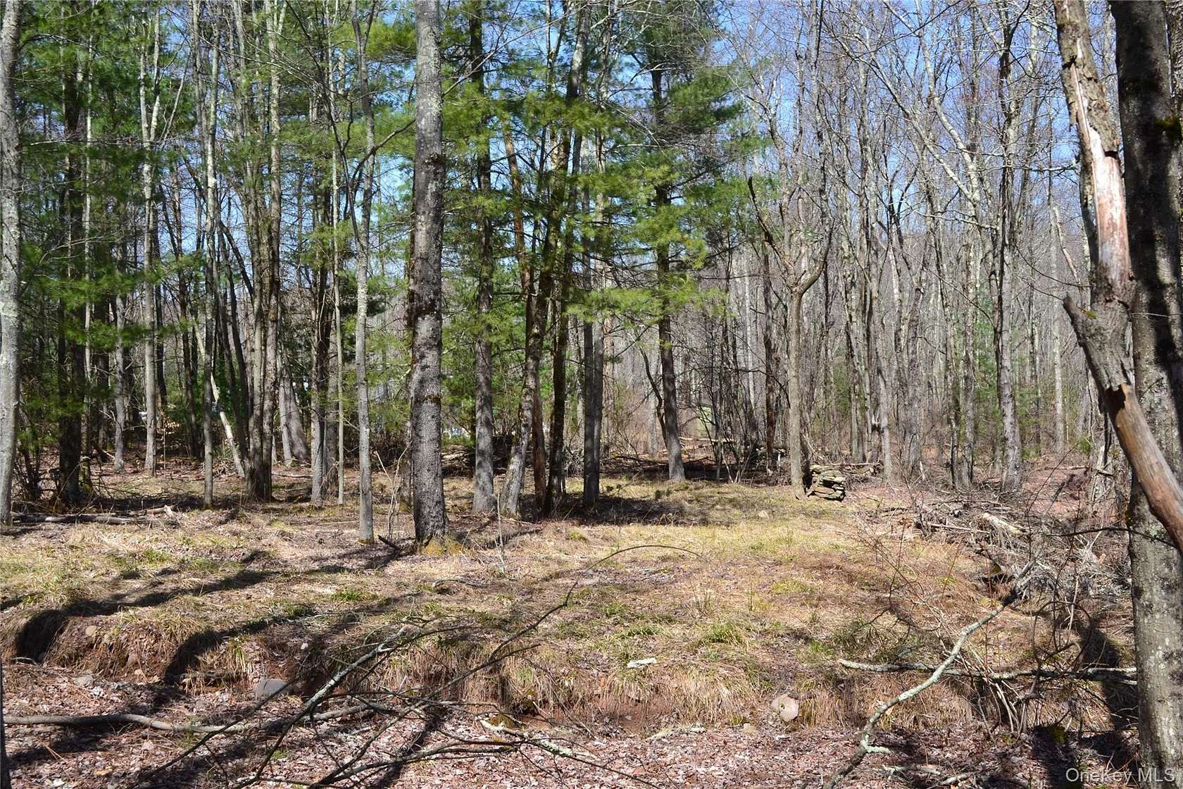 5 Acres of Residential Land for Sale in Liberty, New York