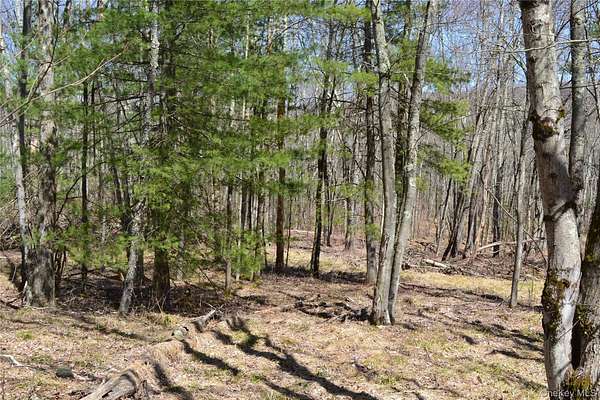 5 Acres of Residential Land for Sale in Liberty, New York