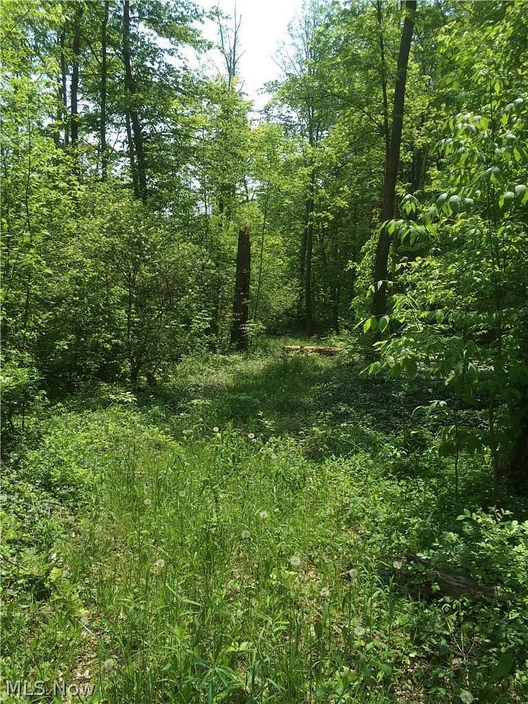 10 Acres of Land for Sale in Chardon, Ohio