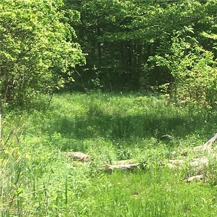 10 Acres of Land for Sale in Chardon, Ohio