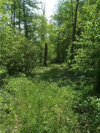 10 Acres of Land for Sale in Chardon, Ohio