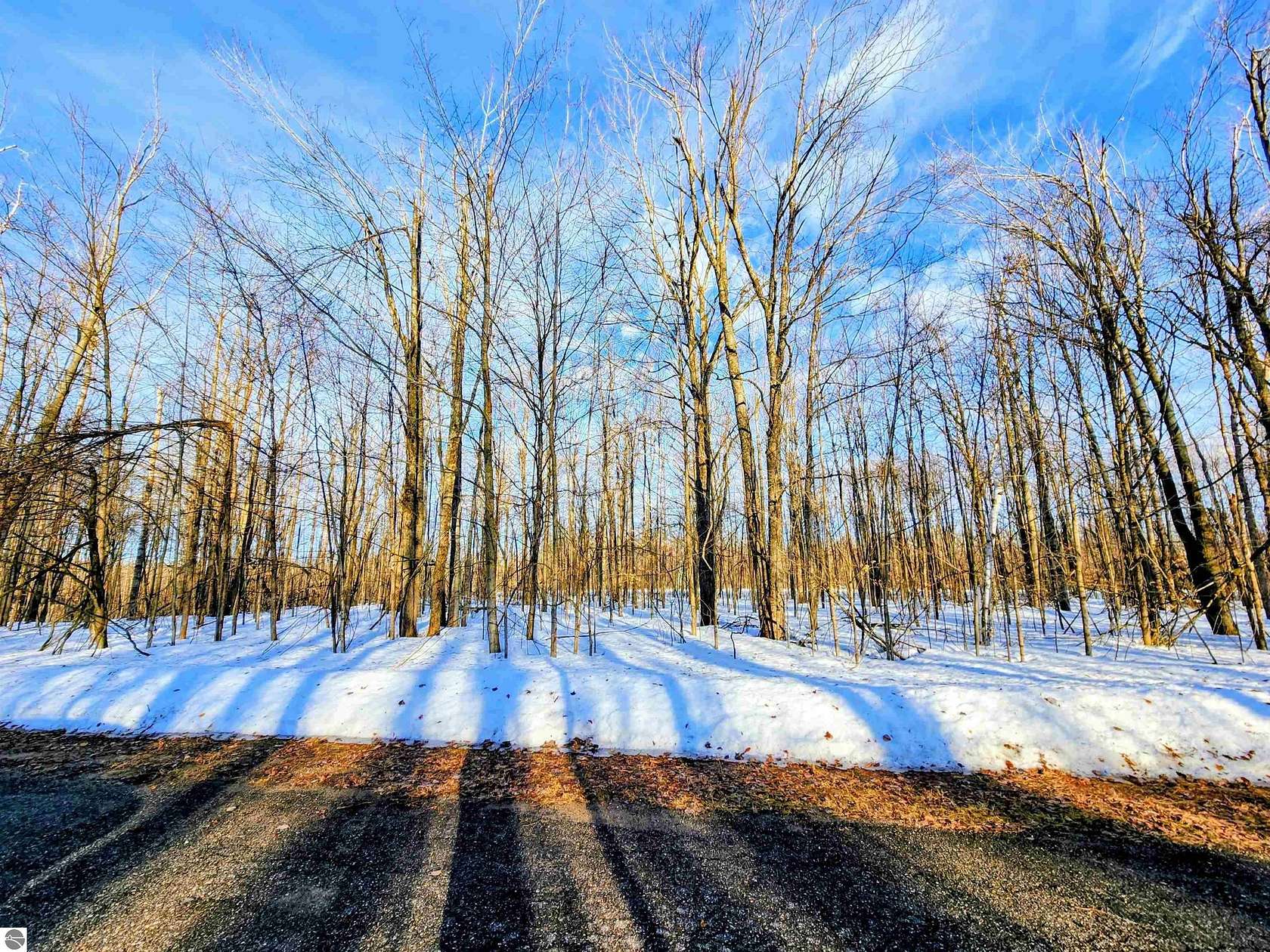 0.46 Acres of Land for Sale in Elmira, Michigan