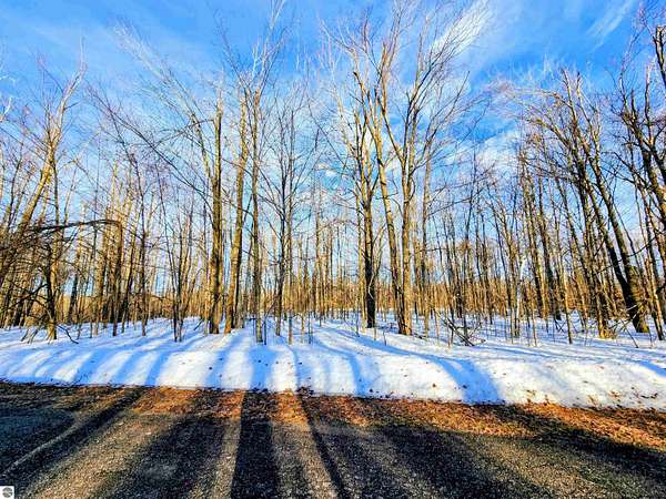 0.46 Acres of Land for Sale in Elmira, Michigan