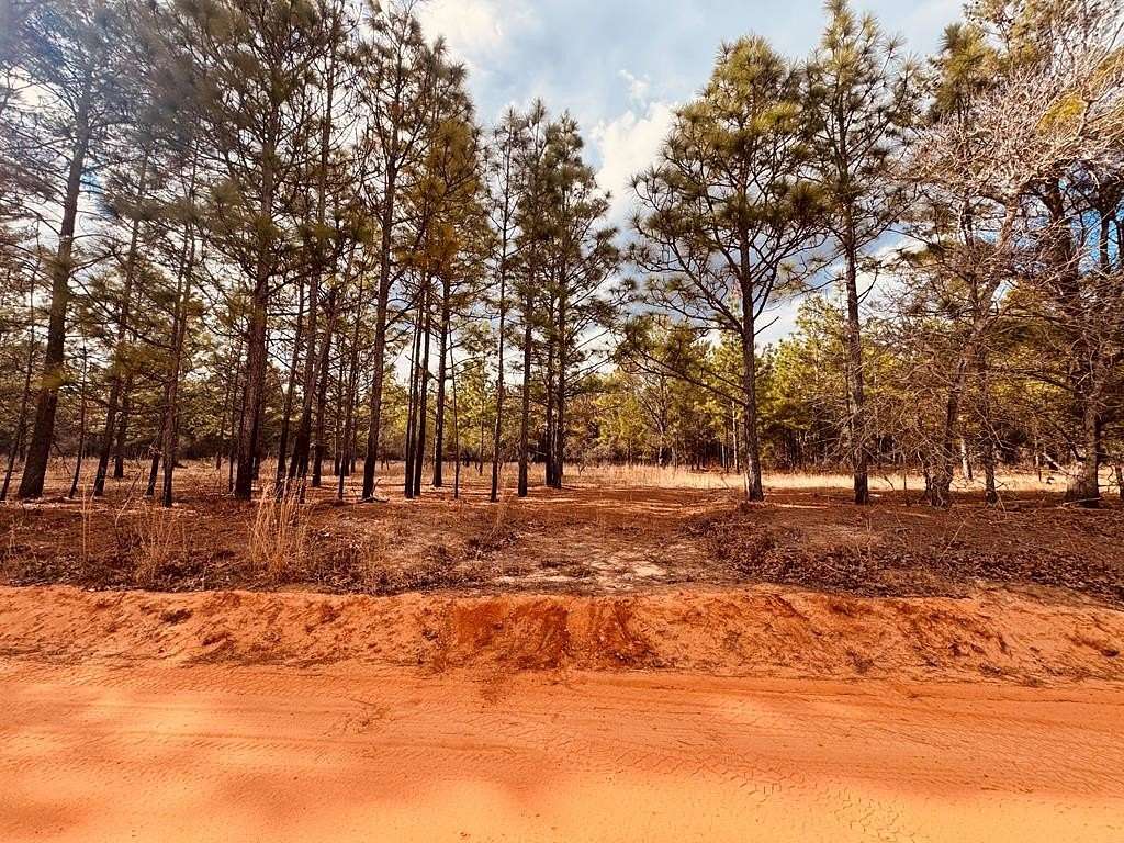63.5 Acres of Recreational & Residential Land for Sale in Mauk, Georgia