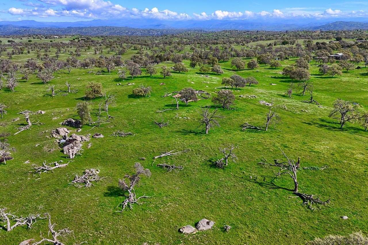 39.9 Acres of Land for Sale in Raymond, California