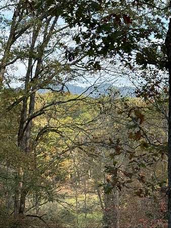 9.73 Acres of Residential Land for Sale in Marble, North Carolina