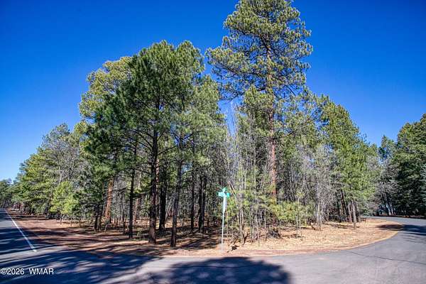 0.33 Acres of Residential Land for Sale in Pinetop, Arizona