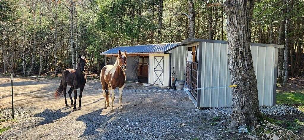 2 Acres of Land with Home for Sale in Monterey, Tennessee