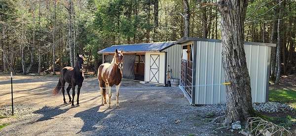 2 Acres of Land with Home for Sale in Monterey, Tennessee