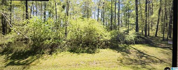 1.46 Acres of Land for Sale in Sylacauga, Alabama
