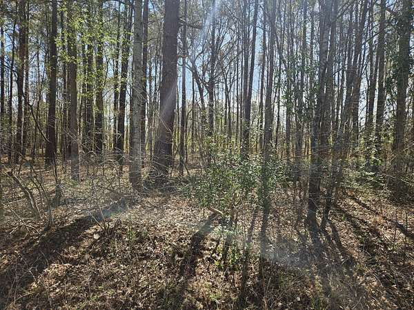 0.46 Acres of Residential Land for Sale in Summerton, South Carolina