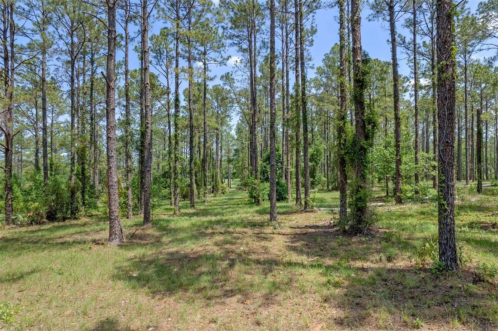 6.19 Acres of Land for Sale in Eustis, Florida