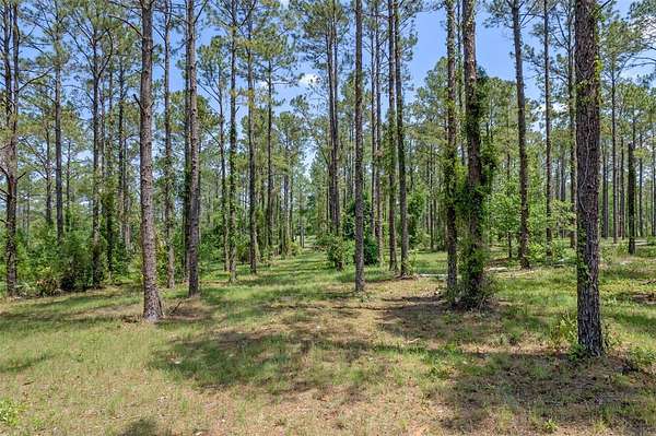 6.19 Acres of Land for Sale in Eustis, Florida