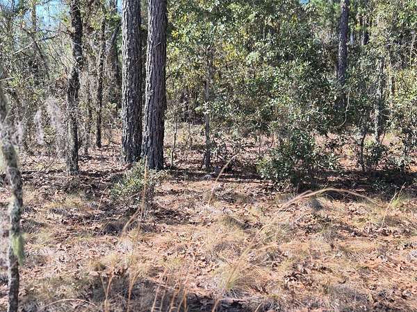 1 Acre of Land for Sale in Williston, Florida