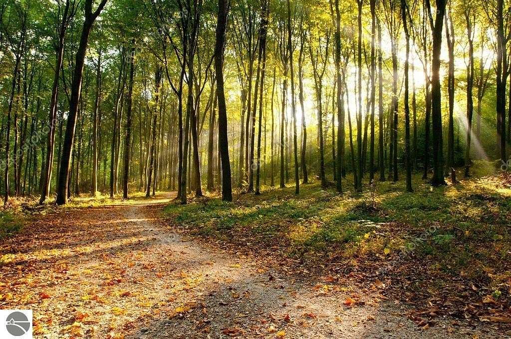 2.4 Acres of Residential Land for Sale in Farwell, Michigan