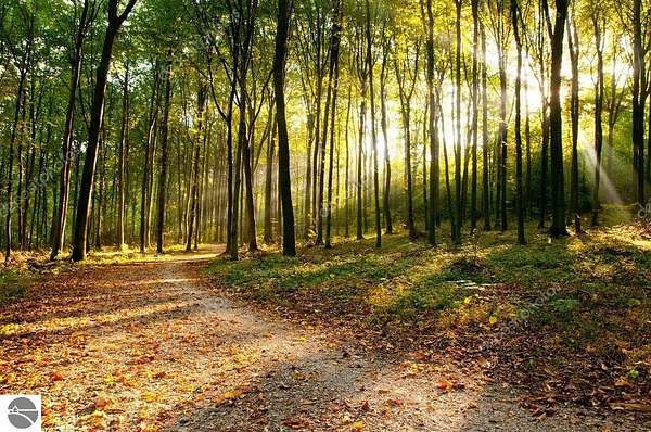 2.4 Acres of Residential Land for Sale in Farwell, Michigan