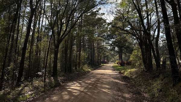 2.86 Acres of Residential Land for Sale in Bainbridge, Georgia