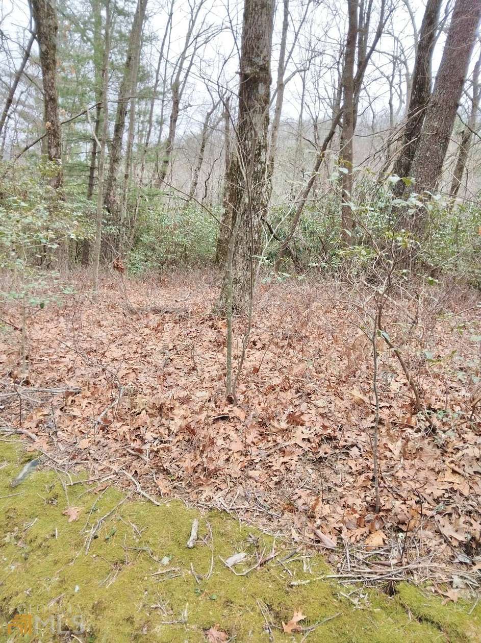 0.6 Acres of Residential Land for Sale in Dillard, Georgia
