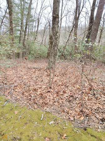 0.6 Acres of Residential Land for Sale in Dillard, Georgia