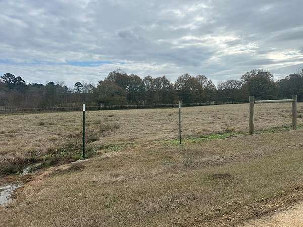 44 Acres of Agricultural & Residential Land for Sale in Ovett, Mississippi