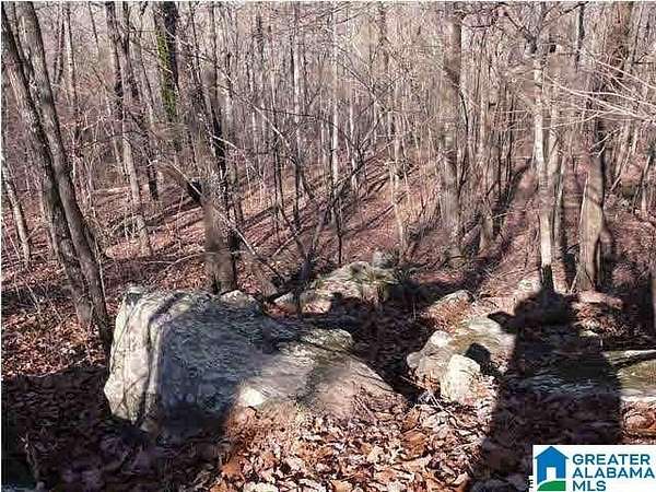 1 Acre of Residential Land for Sale in Helena, Alabama