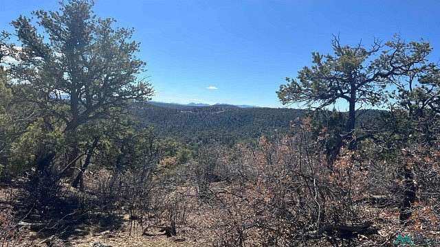 22.2 Acres of Recreational Land for Sale in Pie Town, New Mexico