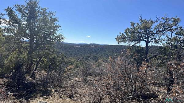 22.2 Acres of Recreational Land for Sale in Pie Town, New Mexico