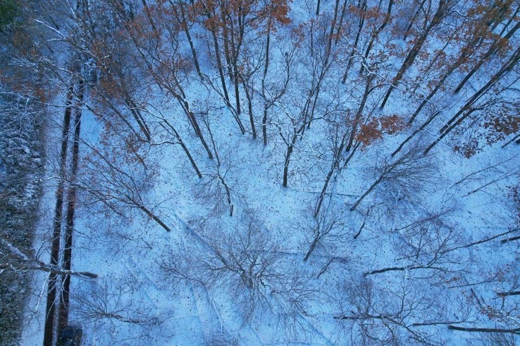 0.69 Acres of Residential Land for Sale in Boswell, Pennsylvania