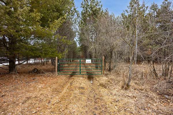 78.2 Acres of Recreational & Residential Land for Sale in Browerville, Minnesota