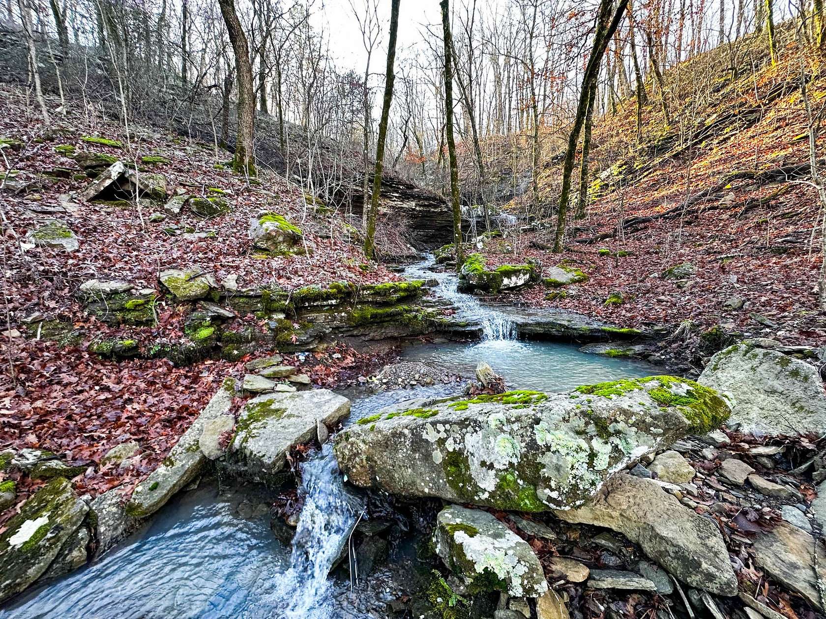 9.45 Acres of Recreational Land for Sale in Sallisaw, Oklahoma