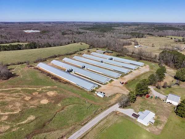 25 Acres of Agricultural Land for Sale in Hackleburg, Alabama