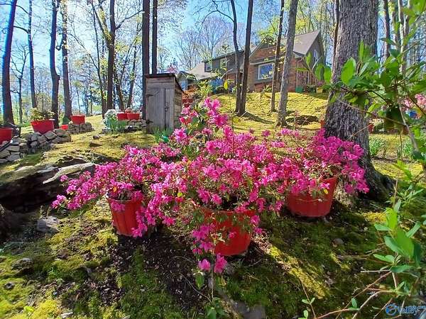 2.1 Acres of Land with Home for Sale in Decatur, Alabama