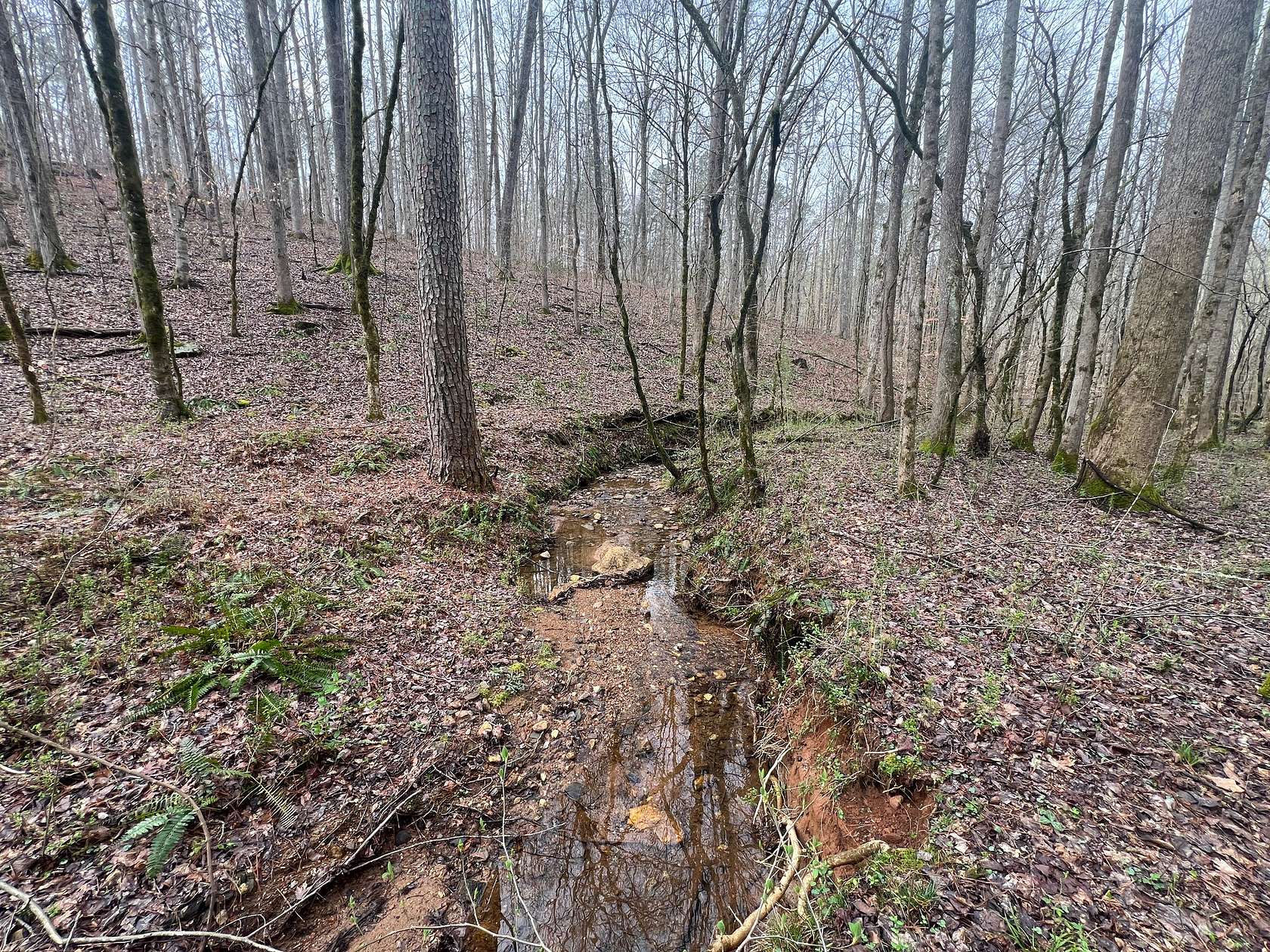 141 Acres of Recreational & Residential Land for Sale in Delta, Alabama