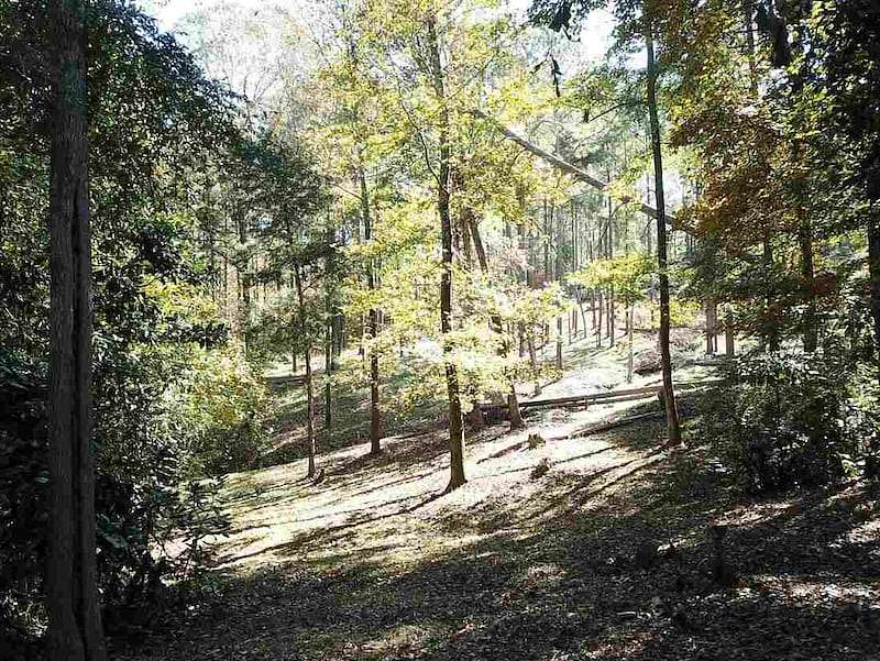 11.4 Acres of Land for Sale in Franklin, Georgia