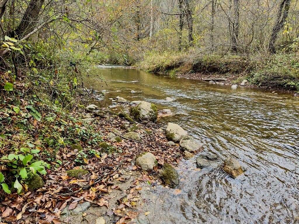 72.5 Acres of Land for Sale in Cana, Virginia