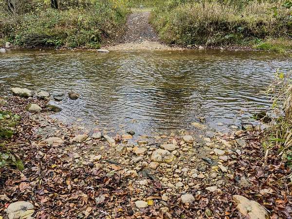 72.5 Acres of Land for Sale in Cana, Virginia