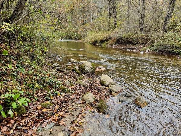 72.5 Acres of Land for Sale in Cana, Virginia