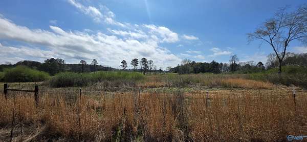 13.5 Acres of Land for Sale in Gaylesville, Alabama