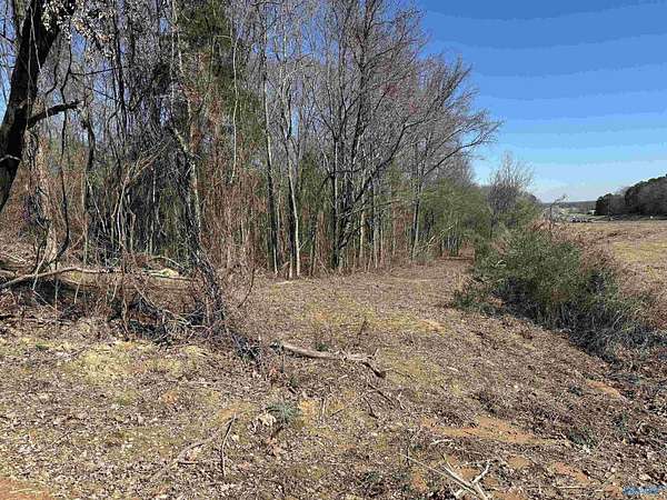 13 Acres of Land for Sale in Decatur, Alabama
