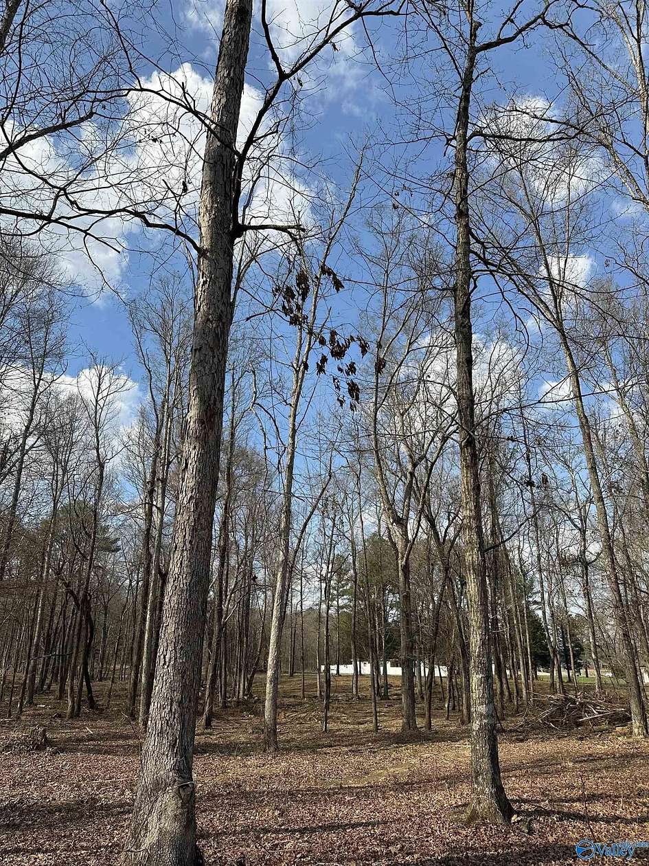 2.5 Acres of Mixed-Use Land for Sale in Trinity, Alabama