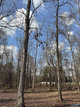 2.5 Acres of Mixed-Use Land for Sale in Trinity, Alabama