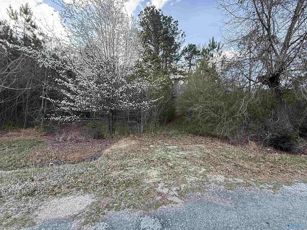 13.4 Acres of Land for Sale in Attalla, Alabama