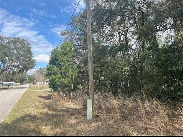0.32 Acres of Residential Land for Sale in Belleview, Florida