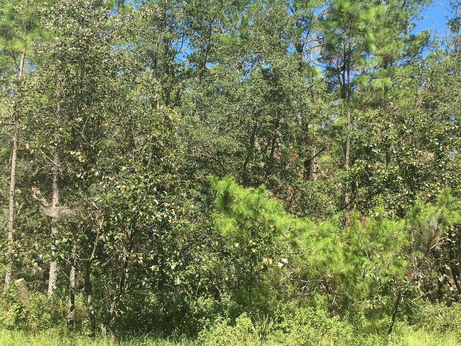 1 Acre of Residential Land for Sale in Ocala, Florida