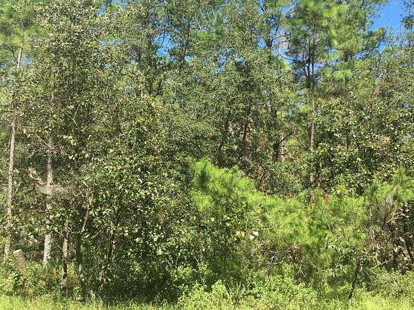 1 Acre of Residential Land for Sale in Ocala, Florida