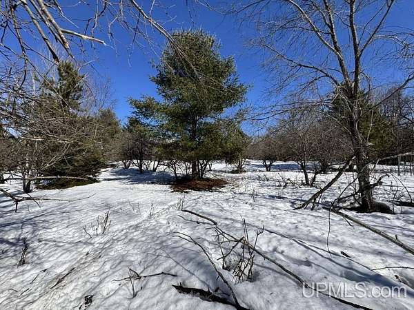 10 Acres of Land for Sale in Baraga, Michigan