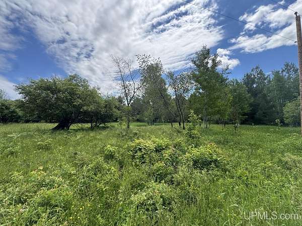 10 Acres of Land for Sale in Baraga, Michigan