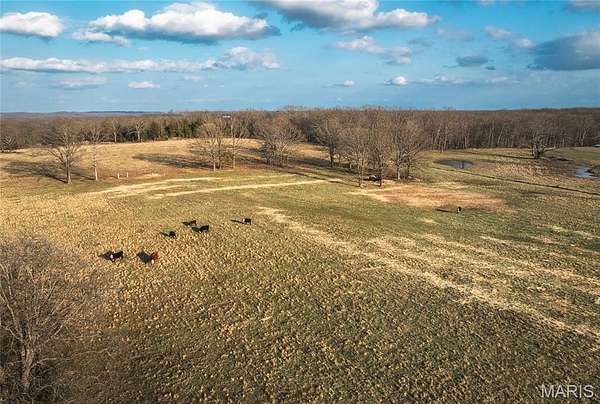 72 Acres of Agricultural & Residential Land for Sale in Newburg, Missouri