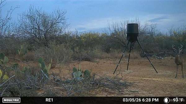 100 Acres of Land for Sale in San Ygnacio, Texas